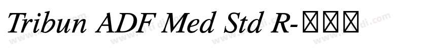 Tribun ADF Med Std R字体转换 Tribun ADF Med Std R字体转换